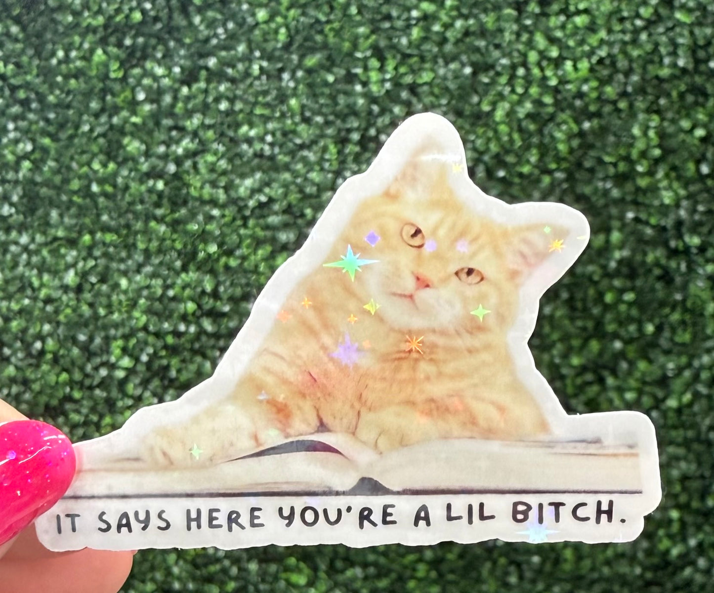 SASSY CAT STICKER