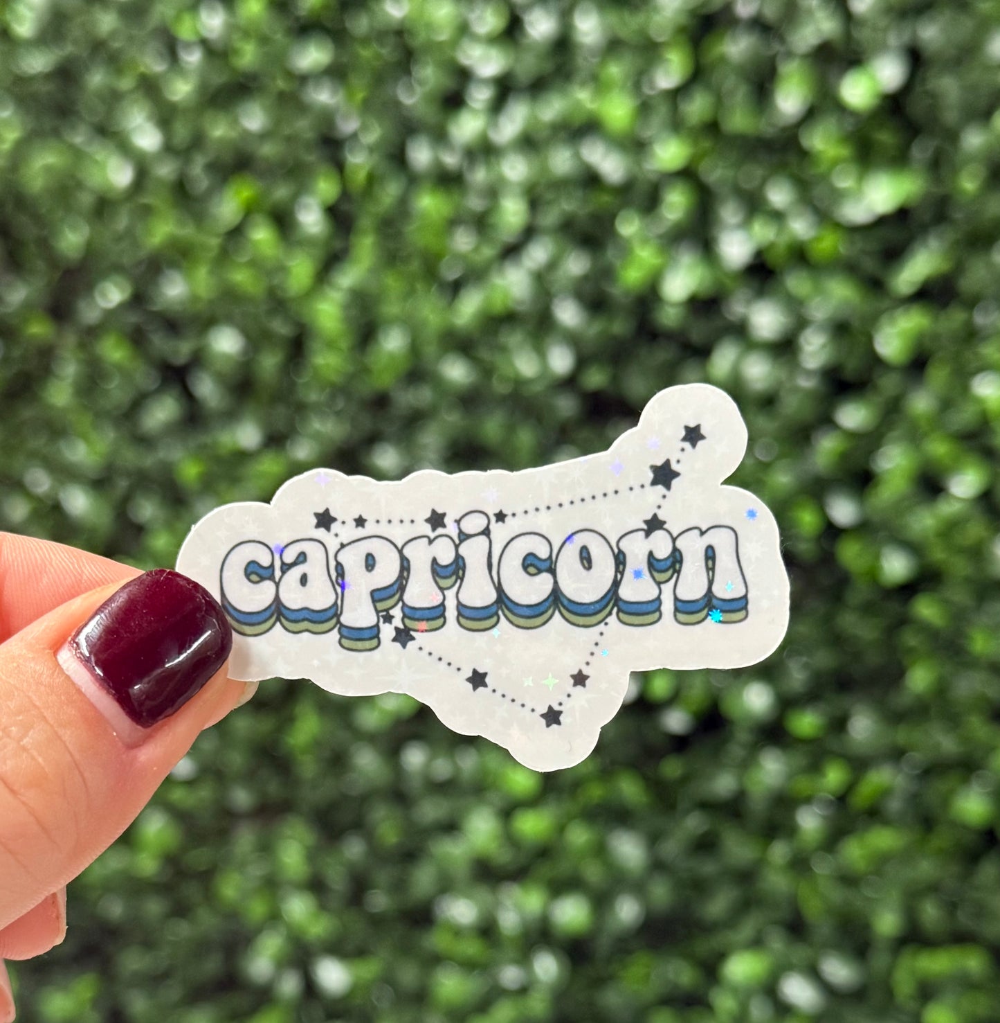 CAPRICORN ZODIAC STICKER