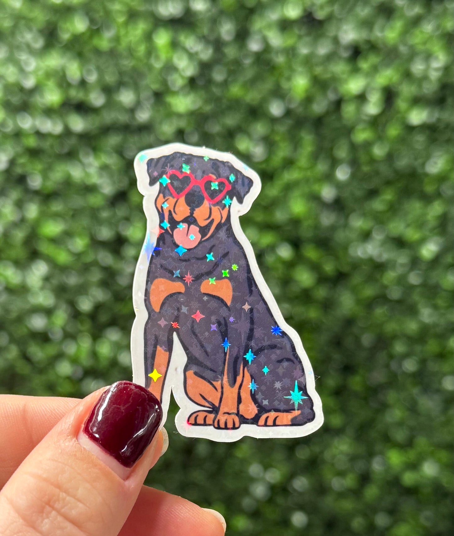 ROTTIE GOLDIE STICKER
