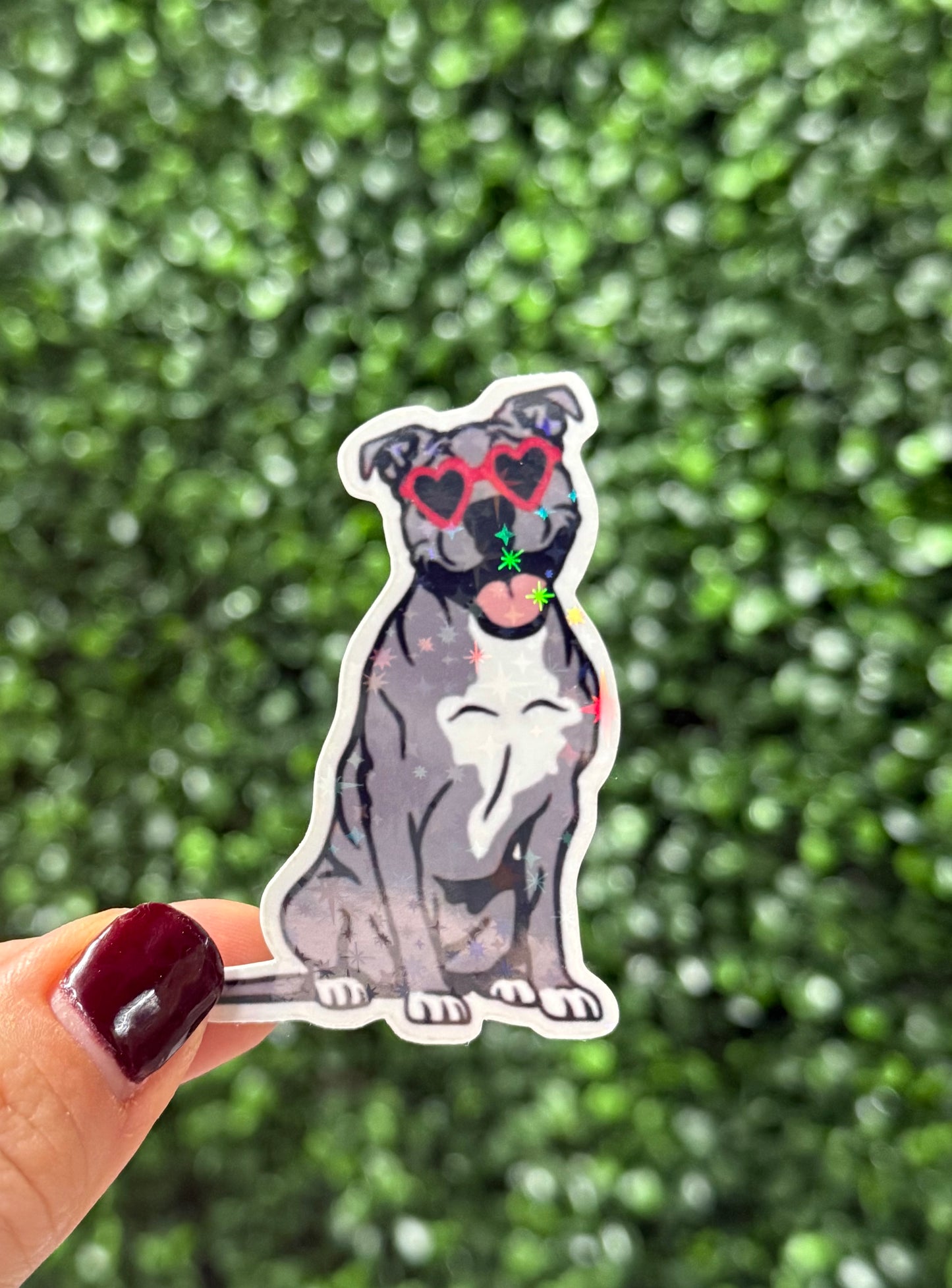 PITTIE GOLDIE STICKER
