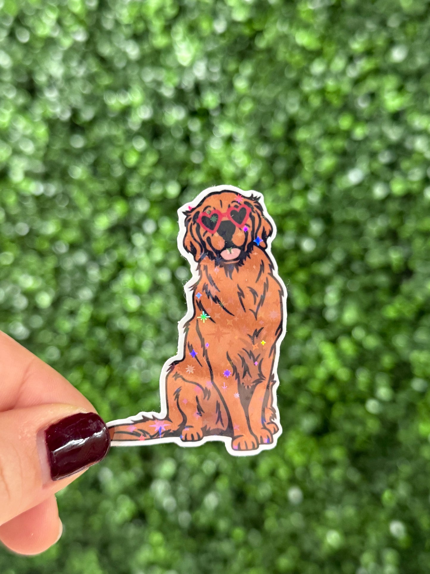 GOLDIE (red) STICKER