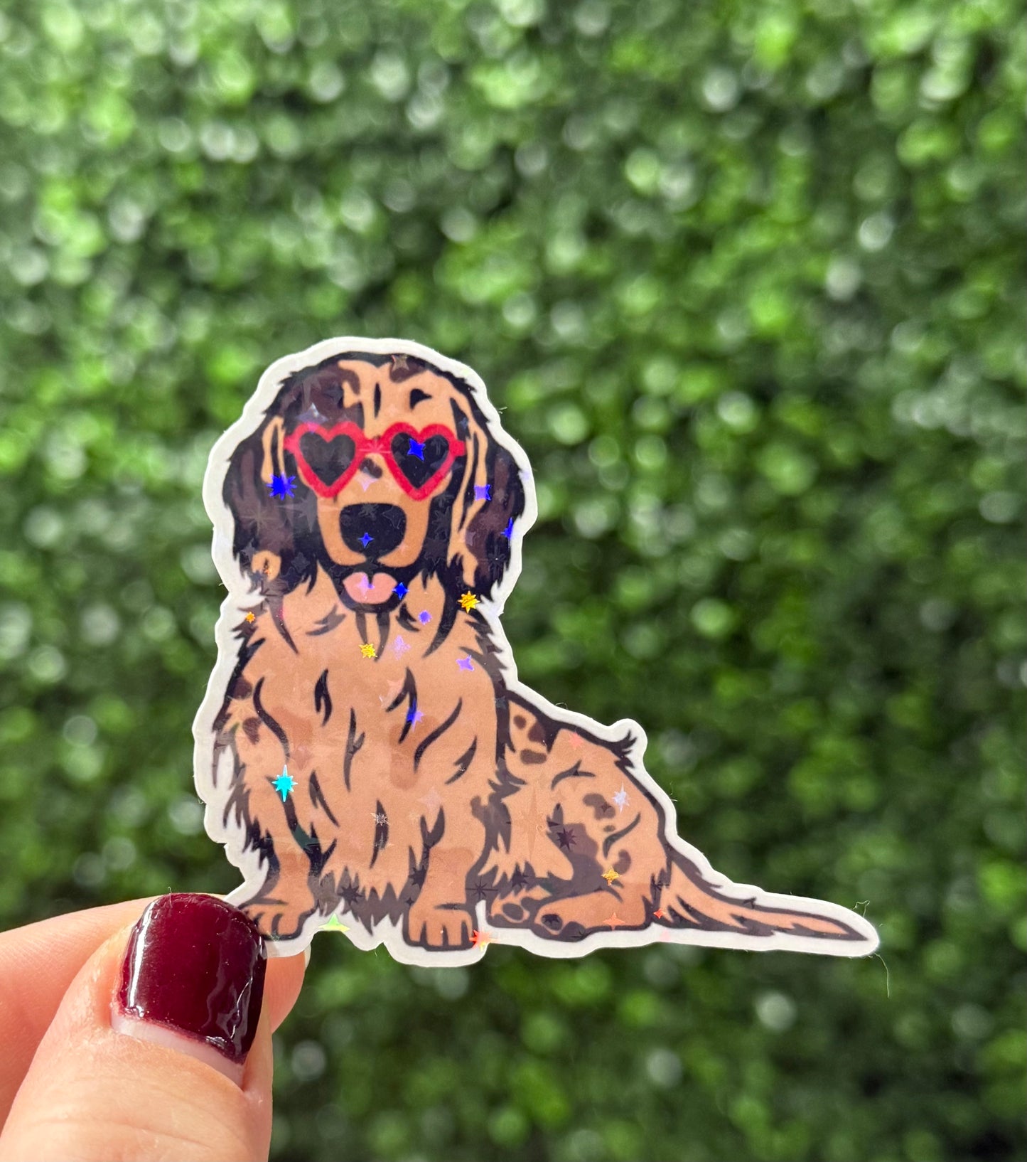 LONG HAIR DACHSHUND STICKER