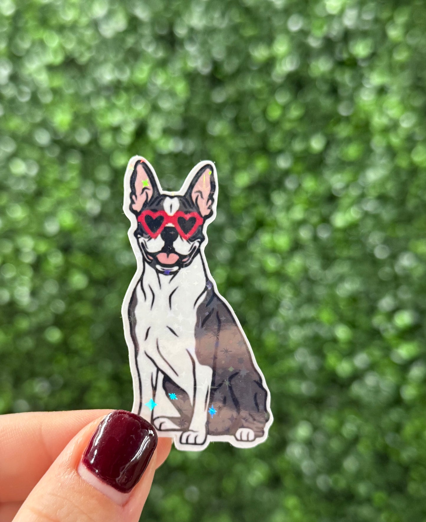 BOSTON BULLDOG STICKER