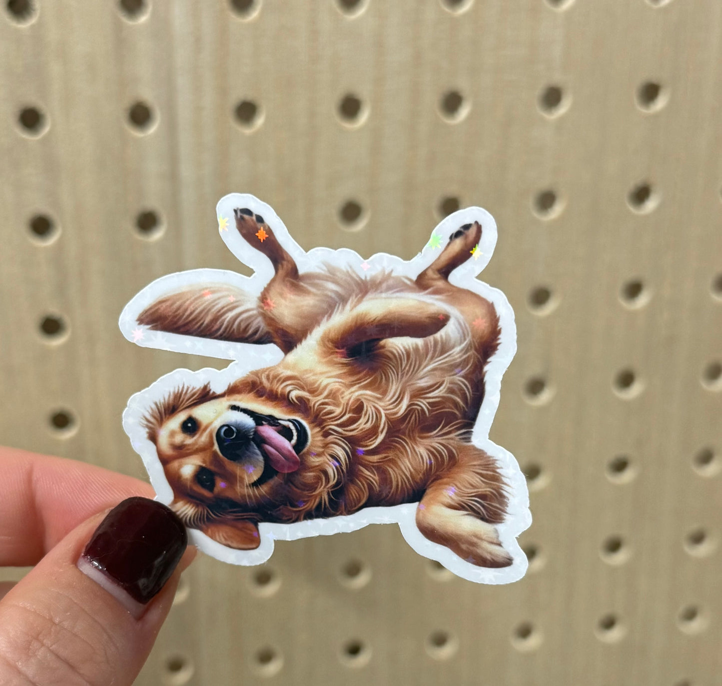 GOLDIE STRETCH STICKER