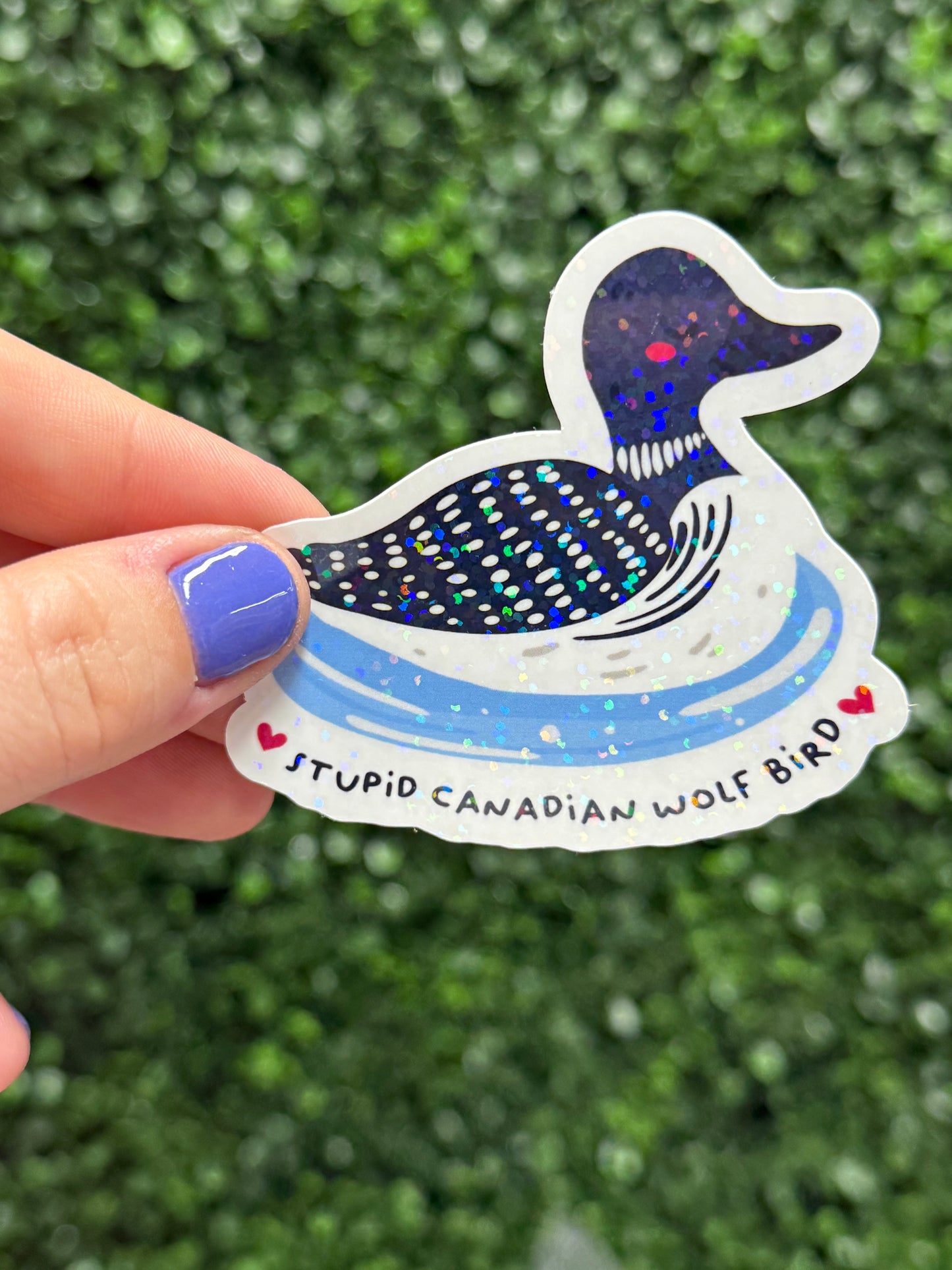 HR STUPID CANADIAN WOLF BIRD STICKER