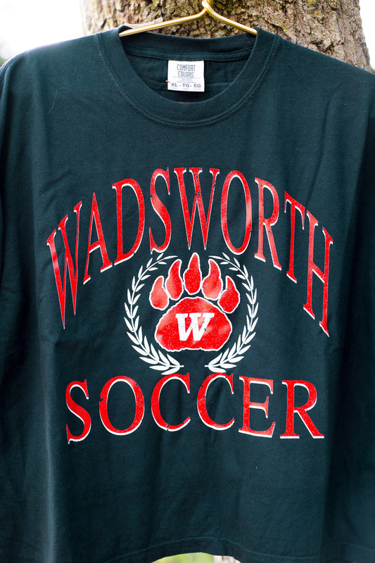 Wadsworth Soccer Crest