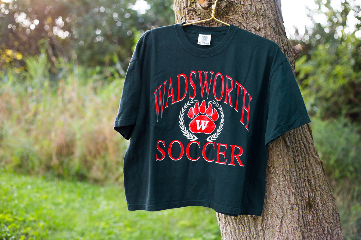 Wadsworth Soccer Crest