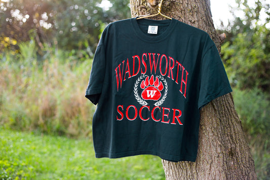 Wadsworth Soccer Crest