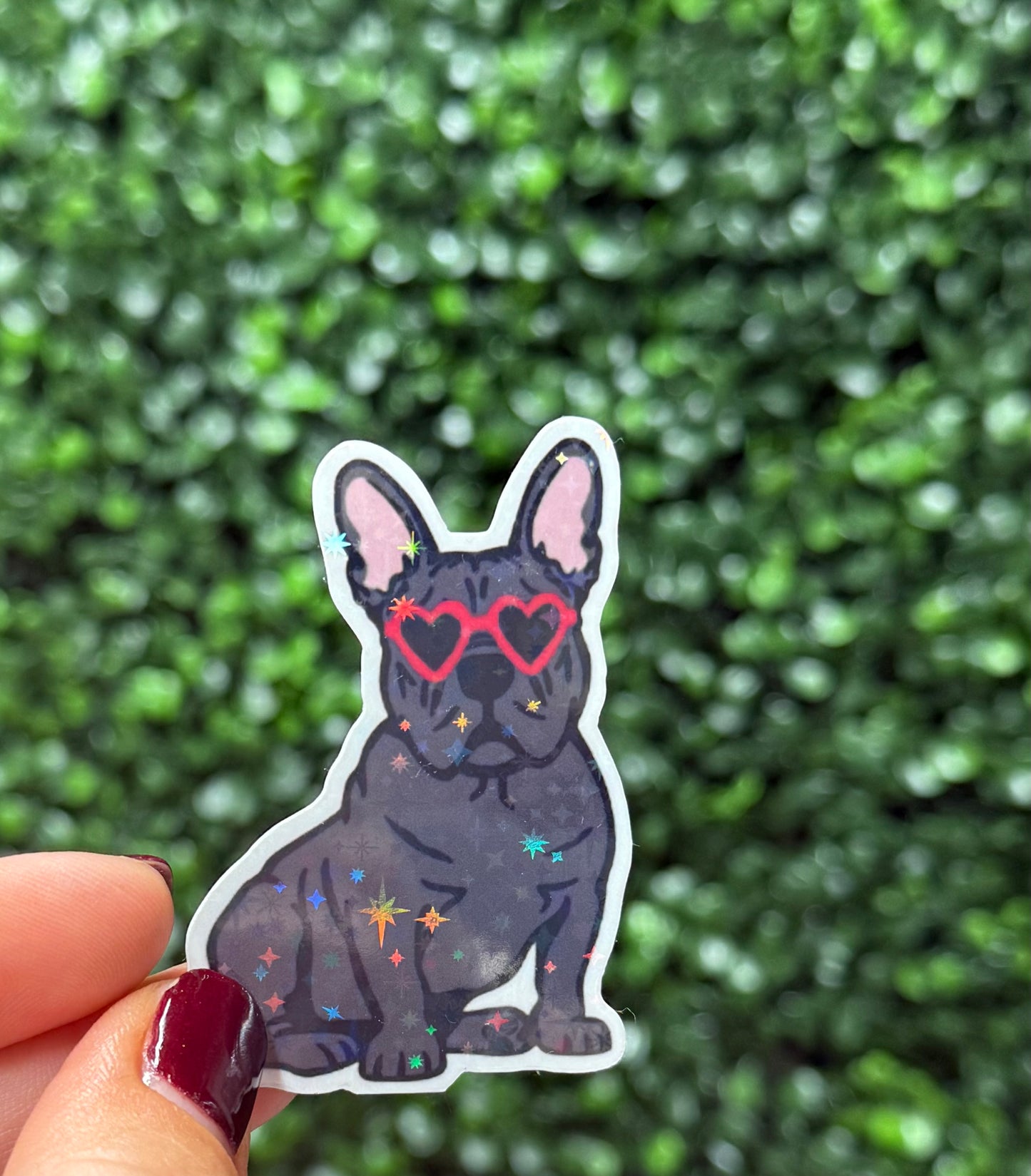 FRENCHIE (black) STICKER