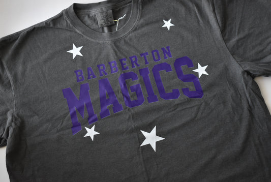 Barberton Stars